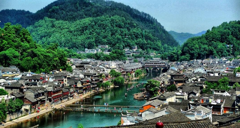 凤凰_副本 凤凰_副本